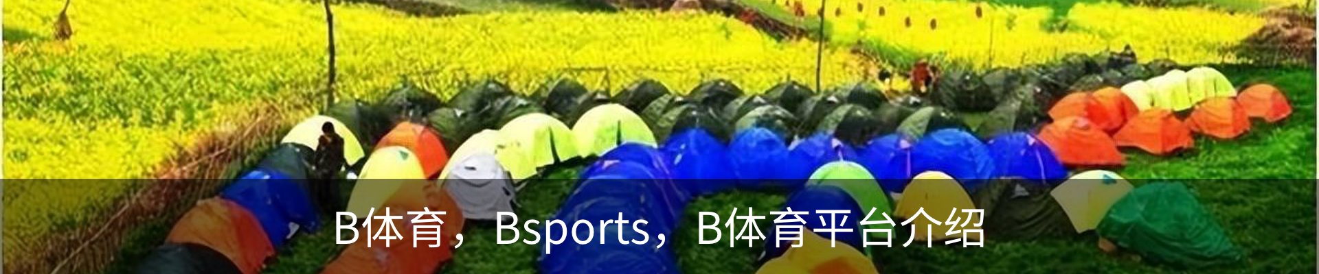 B体育，Bsports，B体育平台介绍