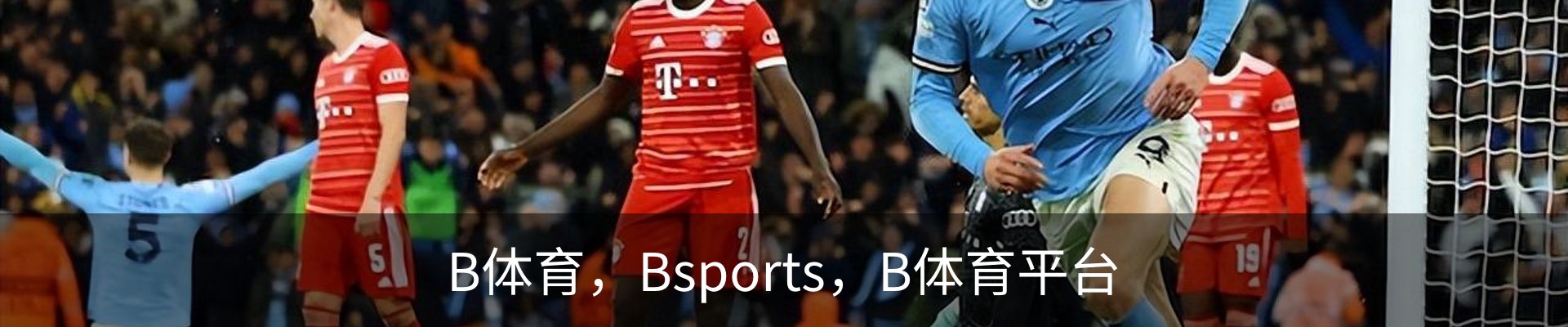 B体育，Bsports，B体育平台